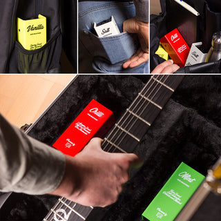 Flavours Preamps - Analog microphone boosters with studio quality