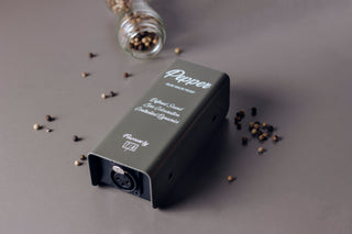 Flavours Preamps - Analog microphone boosters with studio quality