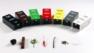 Flavours Preamps - Analog microphone boosters with studio quality